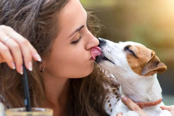 Principais doenças que seu cachorro pode transmitir para você