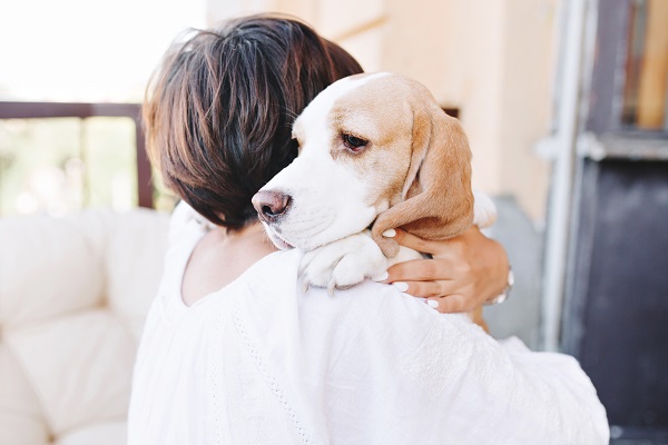 5 sinais de síndrome de ansiedade por separação em cães