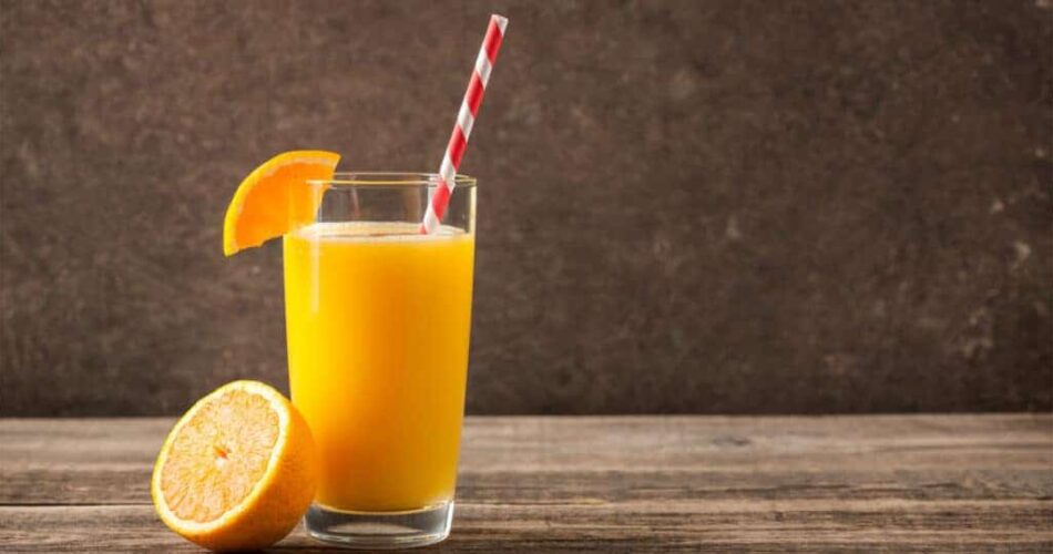 Gato pode tomar suco de laranja? Descubra aqui!