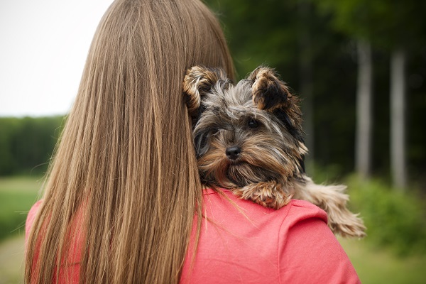 Cão com leishmaniose: e agora?