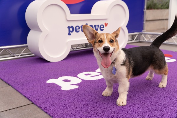 Petlove e Nubank fazem parceria e promovem o Pet Day
