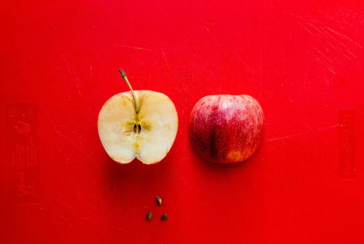 Será que cachorro filhote pode comer maçã? Descubra se a fruta está permitida!