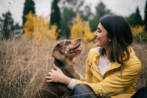 5 coisas que você deve fazer pelo bem do seu cachorro