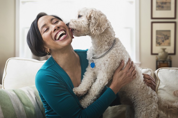 Fazer carinho em cachorros é positivo para saúde, afirma estudo