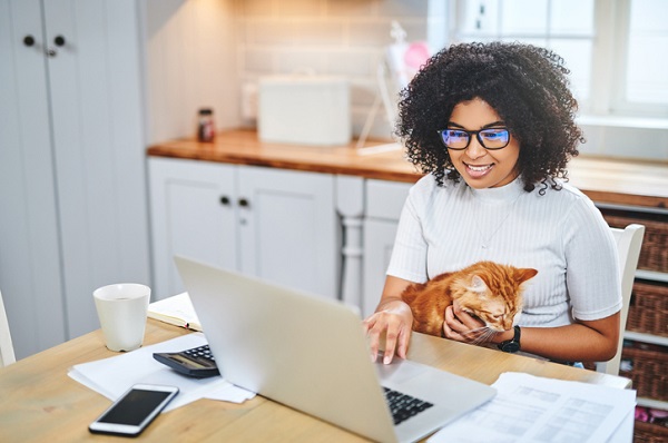 Estudo diz que gatos podem reduzir o estresse de pessoas emocionalmente sensíveis