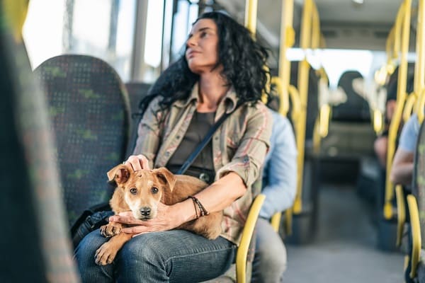 Vídeo de morador de rua cantando parabéns com cães viraliza nas redes sociais