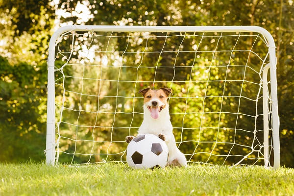 Relembre 7 mascotes da Copa e veja por que esses bichos foram escolhidos