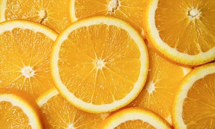 Será que o periquito pode comer laranja? Descubra se a fruta é benéfica para a ave