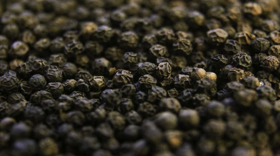Você sabe como plantar pimenta-do-reino em casa? Descubra!