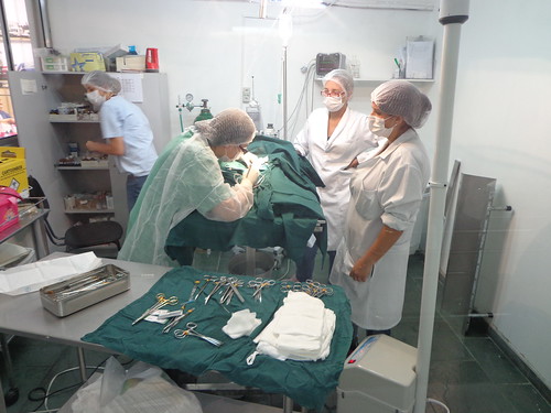 Hospitais Veterinários Públicos