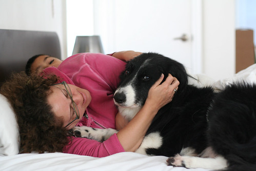 Vantagens e Desvantagens de Dividir a Cama com Pets